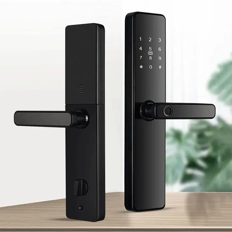Khóa Vân Tay Cửa Gỗ Kasslock K04