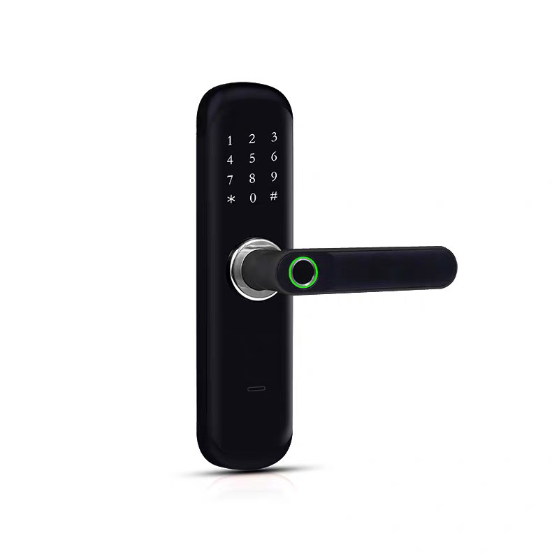 Khóa Vân Tay Cửa Gỗ Kasslock K01